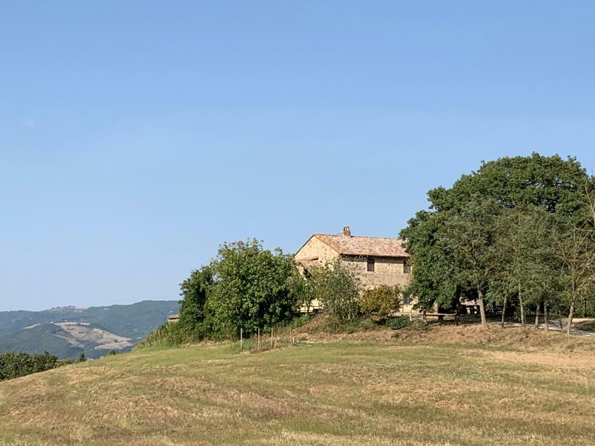 Casale Al Lago Con Piscina E Sauna Corbara  Exterior foto
