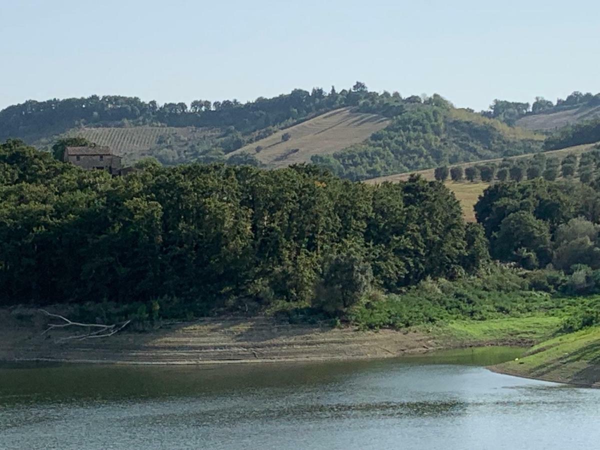 Casale Al Lago Con Piscina E Sauna Corbara  Exterior foto