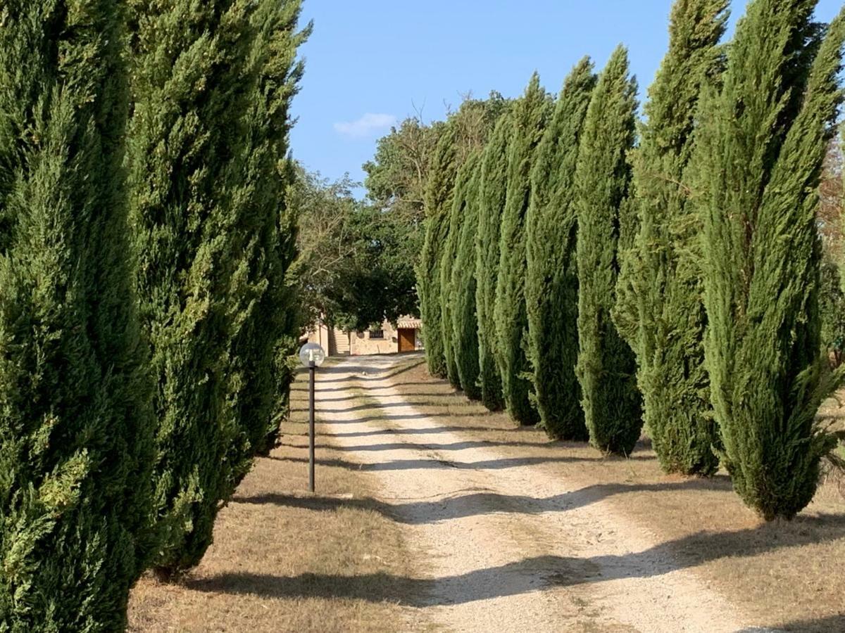 Casale Al Lago Con Piscina E Sauna Corbara  Exterior foto
